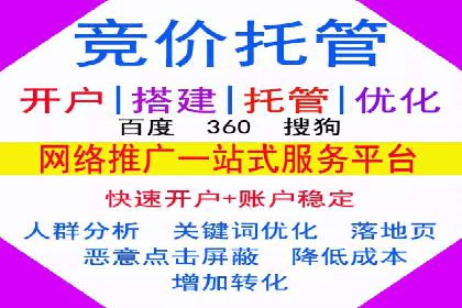热门SEM运营公司案例深度剖析
