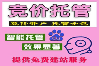 SEM广告创意与优化：成功案例分享