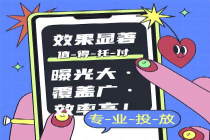 网站sem托管案例分享：如何精准投放广告